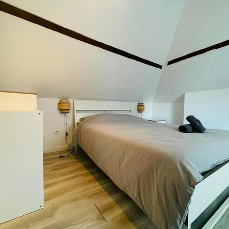公寓 Maison Lafayette - 460 鲁昂
